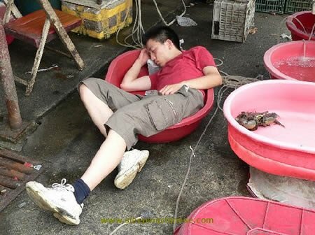 Top 10 Most Funny Sleeping Positions Top 10 Most Funny Sleeping Positions