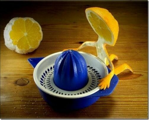 Fruit Art Fruit Art